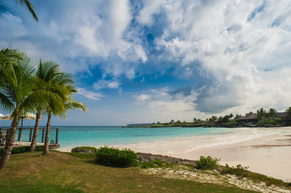 Palmen und tropischer Strand im tropischen Paradies — Stockfoto