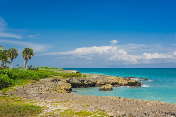 Spiaggia tropicale — Foto Stock