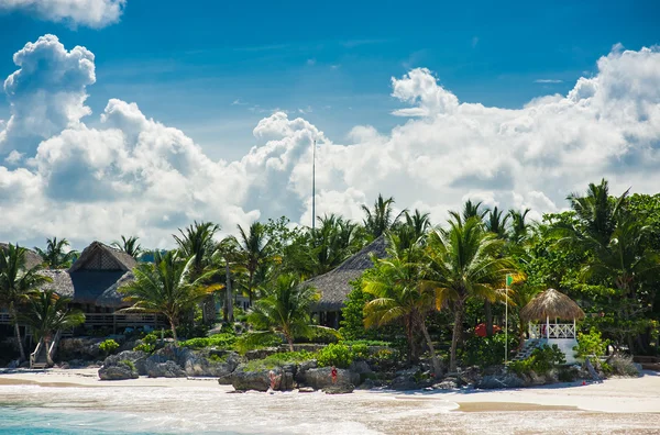 Pálma- és tropical beach, trópusi paradicsomban — Stock Fotó