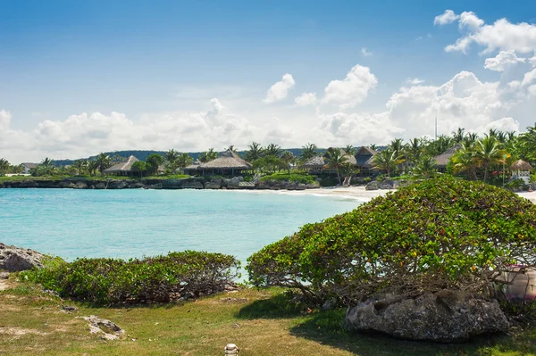 Palmen und tropischer Strand im tropischen Paradies — Stockfoto