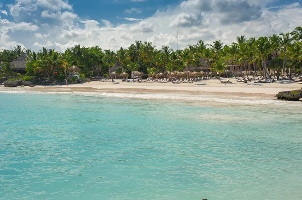 Palm and tropical beach in Tropical Paradise — Stock Photo, Image