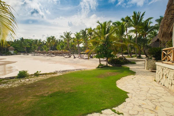 Palmer och tropiska stranden i tropiskt paradis — Stockfoto