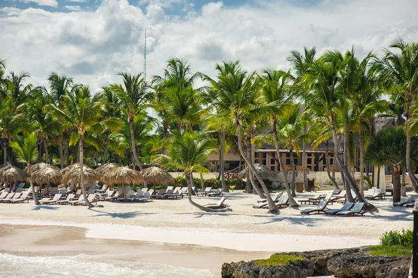 Palm a tropické pláži v tropickém ráji — Stock fotografie