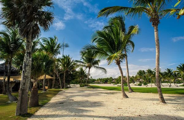 Rilassarsi sulla spiaggia Paradiso remota — Foto Stock