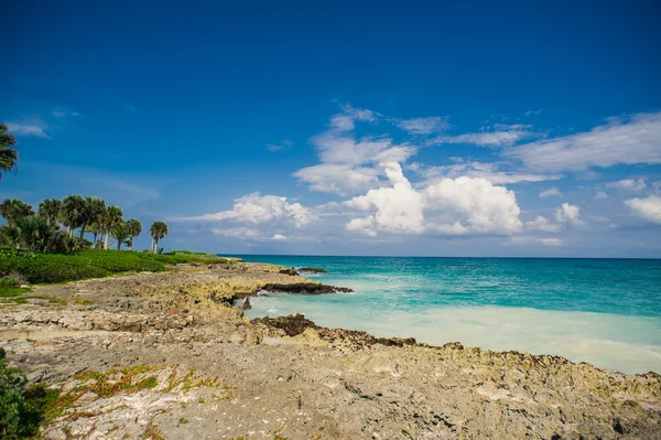 Spiaggia tropicale — Foto Stock