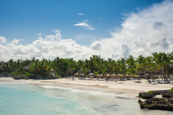 Palm a tropické pláži v tropickém ráji — Stock fotografie