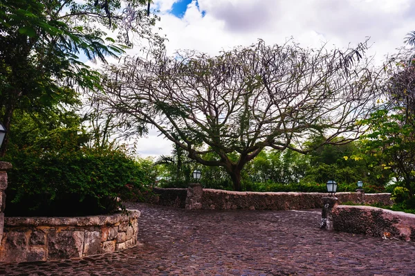 Park im alten Dorf altos de chavon — Stockfoto