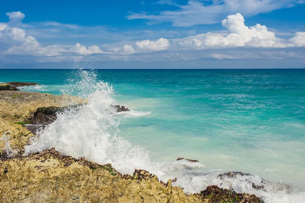 Playa tropical — Foto de Stock