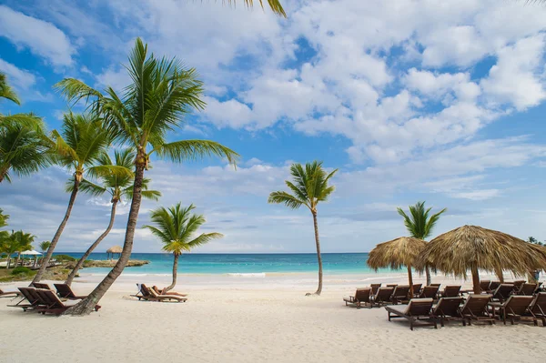 Palm en tropisch strand in het tropische paradijs — Stockfoto