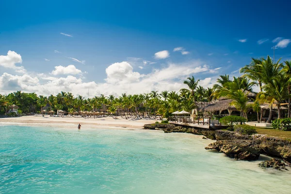 Palm dan tropis pantai di Tropical Paradise Stok Gambar Bebas Royalti