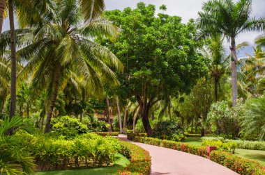 tropikal park