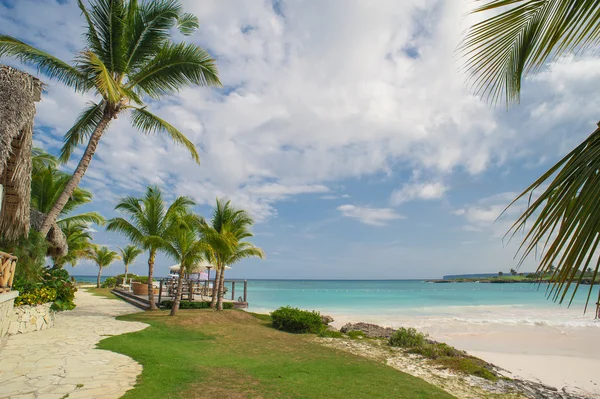 Palm en tropisch strand in het tropische paradijs — Stockfoto