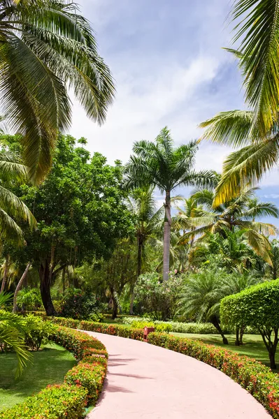 Estrada na montanha da selva tropical — Fotografia de Stock