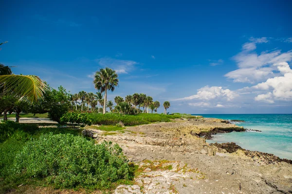 Spiaggia tropicale — Foto Stock