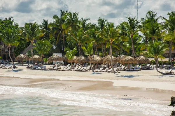 Palma e spiaggia tropicale nel paradiso tropicale — Foto Stock