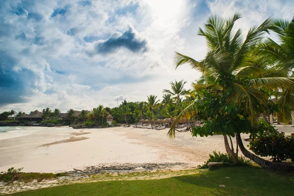 Palm en tropisch strand in het tropische paradijs — Stockfoto