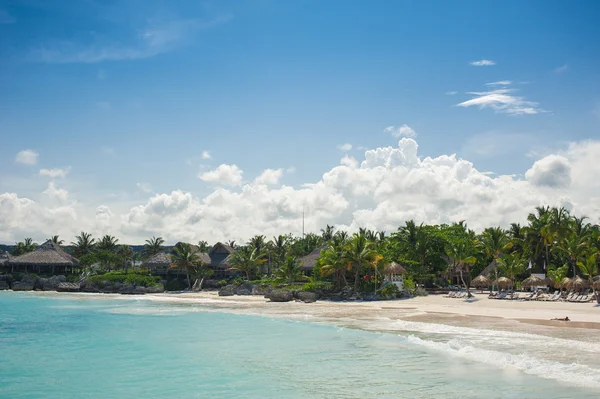 Palm en tropisch strand in het tropische paradijs — Stockfoto