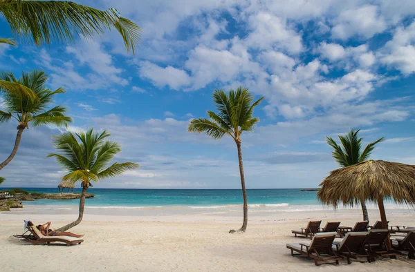 在热带天堂的棕榈和热带海滩 — 图库照片