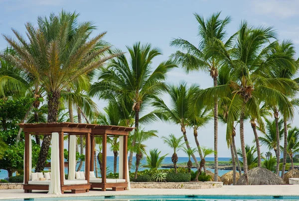 Letto a bordo piscina nella piscina blu di Tropical Paradise — Foto Stock