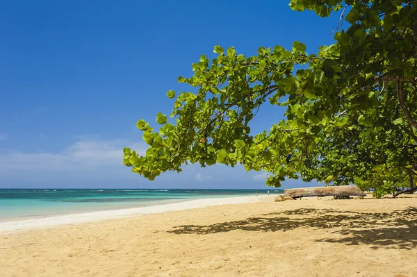 Panoramic beach — Stock Photo, Image