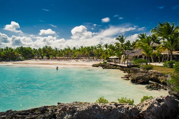 Palmen und tropischer Strand im tropischen Paradies — Stockfoto