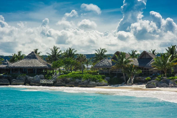 Palmen und tropischer Strand im tropischen Paradies — Stockfoto