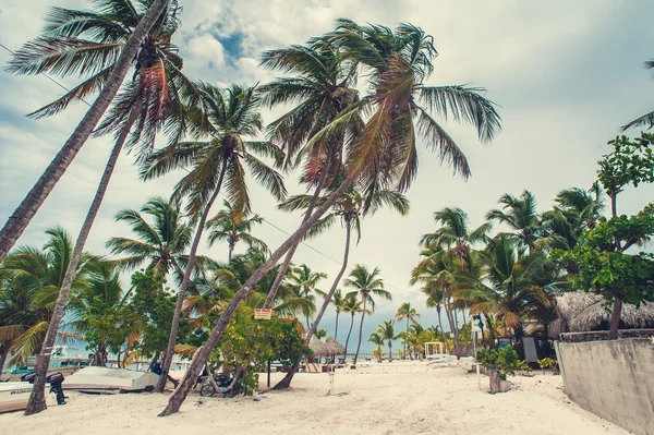 Пальмовый и Фалльский пляжи — стоковое фото
