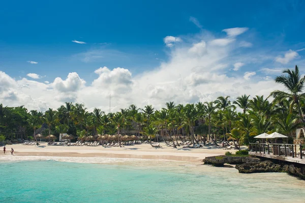 Pálma- és tropical beach, trópusi paradicsomban — Stock Fotó