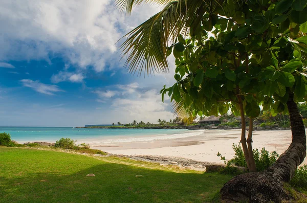 Palmen und tropischer Strand im tropischen Paradies — Stockfoto