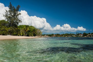 panoramik plaj tropikal