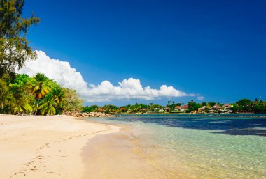 panoramik plaj tropikal