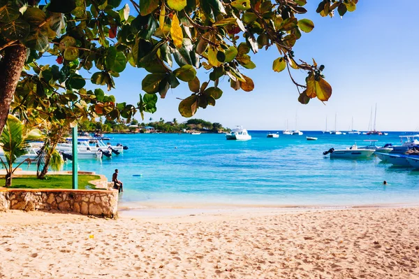 View on stunning tropical beach in Dominican Republic — Stock Photo, Image