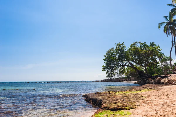 Tropické panoramatickou pláž — Stock fotografie