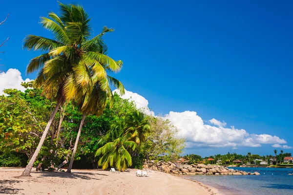 Vista sobre la impresionante playa tropical en República Dominicana —  Fotos de Stock