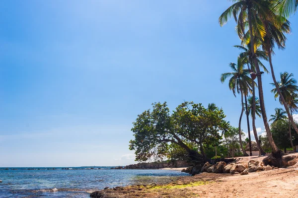 Praia panorâmica tropical — Fotografia de Stock