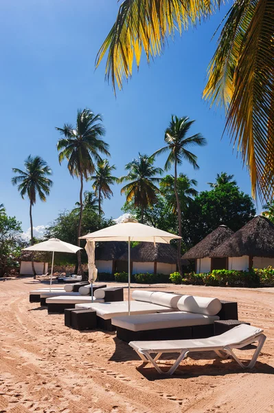 Sunbeds on a tropical beach — Stock Photo, Image