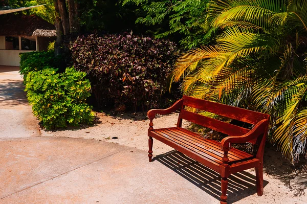 Palmera tropical y callejón con banco . — Foto de Stock