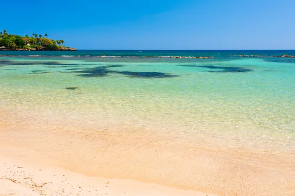 Tropikalnej plaży panoramiczne — Zdjęcie stockowe