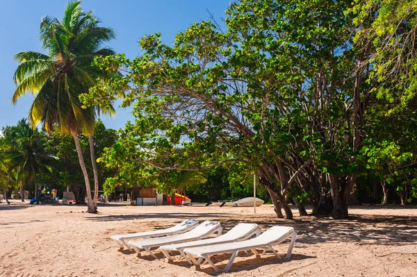 Лежаки на тропическом пляже — стоковое фото