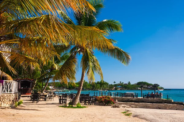 Hut in a tropical jungle — Stock Photo, Image