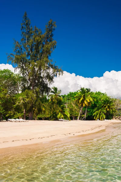 Tropikalnej plaży panoramiczne — Zdjęcie stockowe