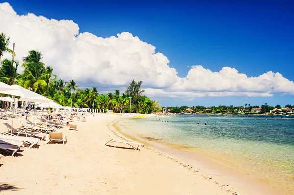 Stolar och paraply på fantastiska tropiska stranden — Stockfoto