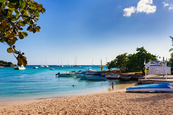 Çarpıcı tropik sahil Dominik Cumhuriyeti görüntüleyin — Stok fotoğraf