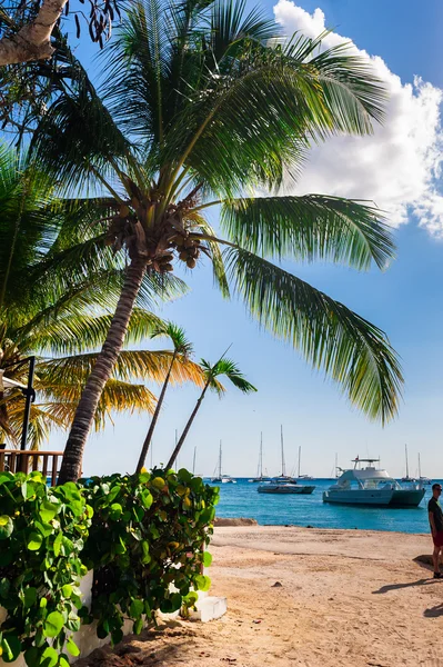 Native typical caribbean islands life — Stock Photo, Image