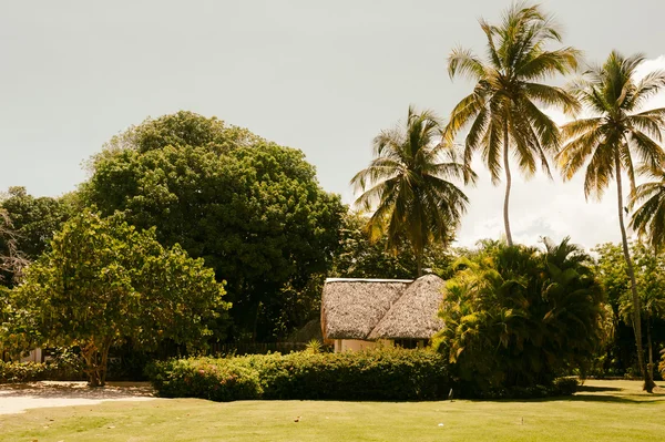 Hütte im tropischen Dschungel — Stockfoto