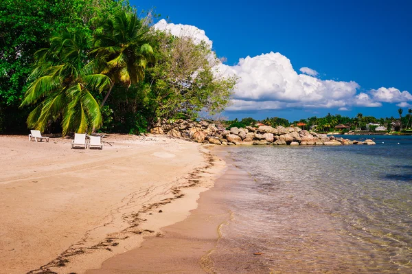 Zobacz na oszałamiające tropikalnej plaży w Republice Dominikańskiej — Zdjęcie stockowe