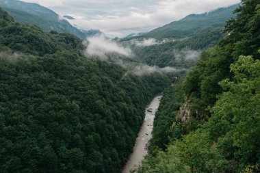 Tara River, kuzey Karadağ 'daki köprünün manzarası. Tara nehri kanyonu, Avrupa 'nın en derin kanyonu, dünyanın ikinci kanyonu. Karadağ Devleti