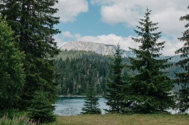 Göl dağların yükseklerinde, dağların yamaçlarında yetişen çam ve çam ağaçları, tepelerde görünen evler, dağlarda ve ağaçlar suya yansıyor, yaz, güneşli