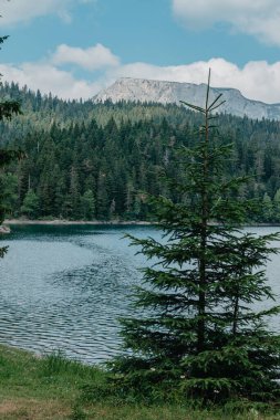 Göl dağların yükseklerinde, dağların yamaçlarında yetişen çam ve çam ağaçları, tepelerde görünen evler, dağlarda ve ağaçlar suya yansıyor, yaz, güneşli