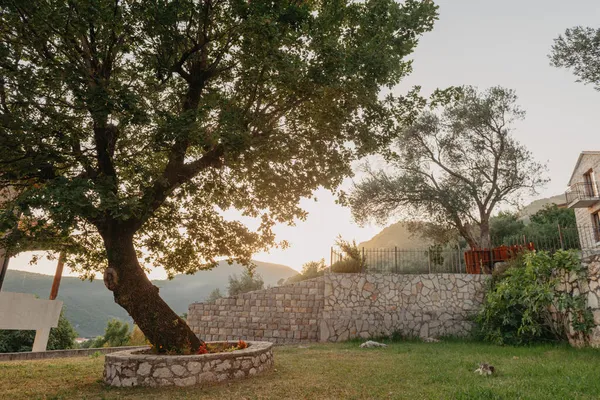 Rumah gaya lama mewah besar saat matahari terbenam. Struktur perumahan dari sebuah rumah Eropa dengan gaya Mediterania. Montenegro. — Stok Foto